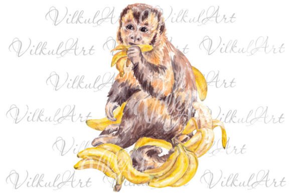 Download Cute Animal Png Monkey Watercolor - Cute animal png Collection