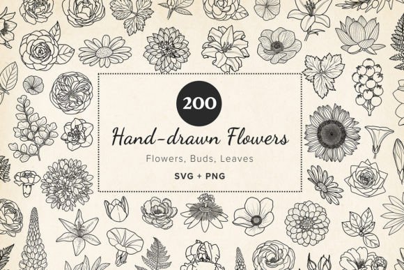 Download 200 Hand-drawn Flower &amp; Leaf SVG Clipart - Leaf Collection