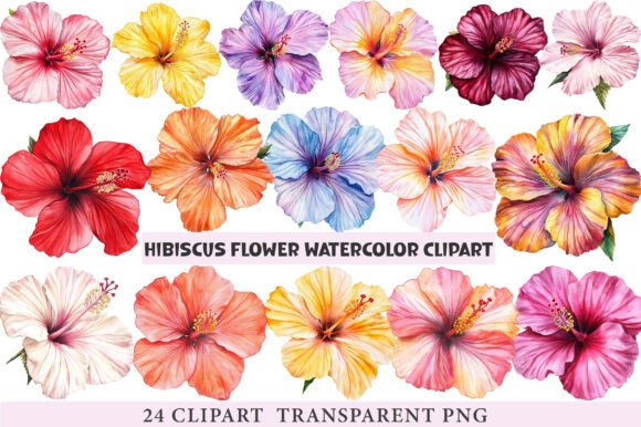 Download Hibiscus Flower Watercolor ClipArt's Png - Hibiscus flower watercolor clipart's png Collection